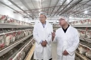 食安探百企｜鹏昌农业：一人管5万只鸡，每颗蛋都有“身份证”